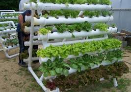 how to diy pvc hydroponics gardening
