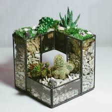 Florarium Labirint V Magazine Levi Flower Na Lambada Markete Plant Decor Geometric Terrarium Stained Glass Projects