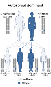 Image result for Protein C Deficiency