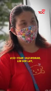 A 52-year-old woman, Lim Sok Lay, has pleaded guilty to mischief and  criminal force after damaging a lion dance costume and repeatedly pushing a  man she accused of scratching her grandson. Two ...