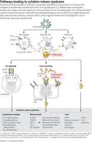 Cytokine Release Syndrome In Severe Covid 19 Science