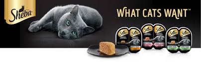 Sheba Perfect Portions Chicken Entree Pate Premium Cat Food 2 Pack Hy Vee Aisles Online Grocery Shopping