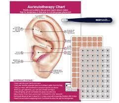 Image Result For Acupuncture Ear Seeds Points Ear Seeds Ear Massage Acupressure Headache