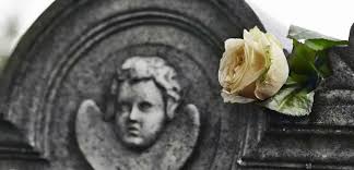 You want to express your condolences, but how do you do it without sounding like although these two words are the beginning of the phrase, i'm sorry for your loss, they actually say more. Sympathy Message Ideas Eflorist Co Uk