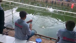 Lomba Bawal Tgl 3 Februari 2019 Sekaligus Ulang Tahun Ke 10 Pemancingan Bawal Vicky99 Jatipadang Youtube