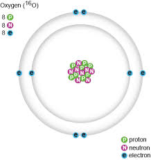 Number of protons = atomic number of the element. Biomolecules And The Chemistry Of Life Protons Neutrons And Electrons Shmoop