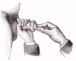 Image result for paraphimosis