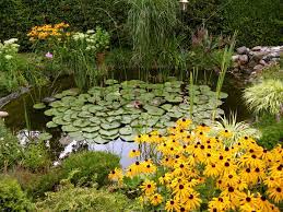Maybe you would like to learn more about one of these? Gartenteich Anlegen So Schaffen Sie Ihr Eigenes Mini Biotop Bauemotion De