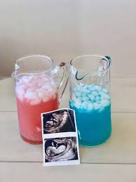 If you want to reveal the gender of your baby with a photo story, consider involving your other children. The Cutest Gender Reveal Food Ideas Tulamama