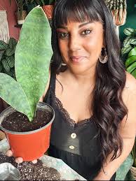 Sarah Hipkin Aiden Green Ailsa Jane Finlayson