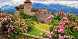 Gallen and the austrian province of vorarlberg. From Zurich Private Trip To Liechtenstein And Heidiland Getyourguide