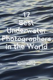 We are highly satisfied with the services provided by them. 12 Of The Best Underwater Photographers In The World Filtergrade