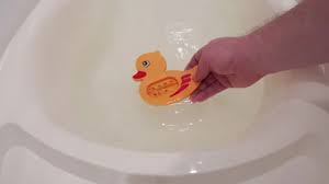 They have to keep their nasal cavities moist. Baby Duck Stock Video Footage Royalty Free Baby Duck Videos Pond5