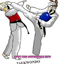 World taekwondo (ранее world taekondo federation) — всемирная федерация тхэквондо. Raznica Mezhdu Thekvondo I Kikboksingom