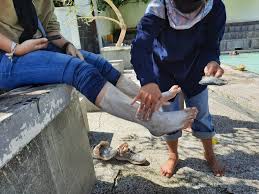 Maybe you would like to learn more about one of these? Menikmati Hangatnya Way Belerang Di Lampung Selatan