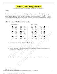 Hardy weinberg ap biology pogil answer key. The Hardy Weinberg Equation How Can We Make Predictions About The Characteristics Of A Population Herricks High School Science 10080