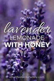 Lavender Lemonade With Honey Small Footprint Family Lavender Lemonade Honey Lemonade Honey Recipes