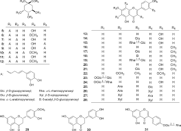 Image result for Sclerochiton vogelii