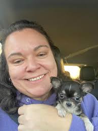 Kenzington, 5.5-year-old Alaskan Klee Kai