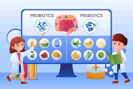 What Is The Difference Between Prebiotics and Probiotics?