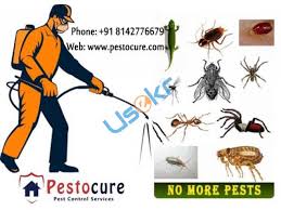 We keep from top to bottom standards of quality and safety. Free Classifieds In Hyderabad Free Classified Ads In India Free Online Advertising