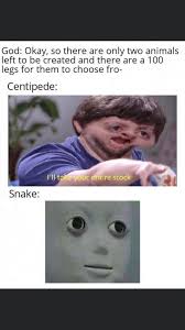 Centipede Is The Real Asshole 9gag