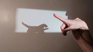 Shadow tiger fusion (separa harimau bayang) is a technique that allows fang to fuse with shadow tiger. 44 How To Make A Hand Shadow Tiger Youtube