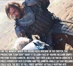 Pin By Laura Deyanire On Sandor Clegane The Hound Game Of Thrones Facts Got Memes Game Of Thrones Funny