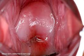 Rino Katayama Profile | Tokyo-Hot 東京熱