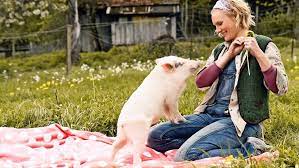 Große auswahl an eine ganz nummer. Kinokritik Eine Ganz Heisse Nummer 2 0 Tanzen Fur Die Glasfaser Kultur Stuttgarter Zeitung