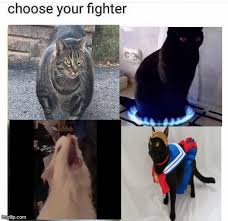 Get the latest funniest memes and keep up what. Choose Your Fighter Imgflip