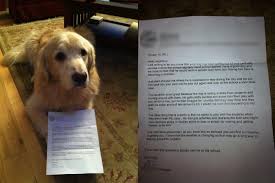 The Ultimate In Dog Shaming Being Sent Home With A Letter From The Principal Dog Shaming Animal Shaming Dogs