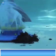 Leaf Skimmer Net Vacuum Video Diy Pool Backyard Pool Designs Swimming Pools Backyard