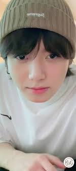 Areli Salgado (areli3374)