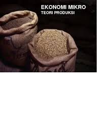 Pertanyaan diskusi tentang teori produksi. Teori Ekonomi Mikro Teori Produksi