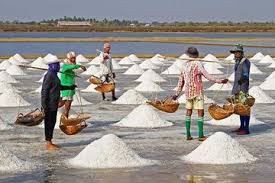 Maybe you would like to learn more about one of these? Beginilah Cara Membuat Garam Dari Air Laut Semua Halaman Bobo