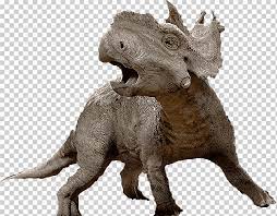 Get pachyrhinosaurus coloring page for free.unique dinosaur coloring pages for kids and adults. Animal Colouring Png Images Klipartz