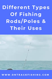 Different Types Of Fishing Rods Poles Their Uses And Benefits Types Of Fish Catching Fish Rods