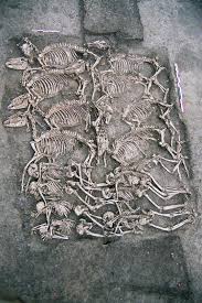 A Celtic mass burial at Gondole, in France, situated 300 meters from the rampart  of the oppidum, and which consisted of 8 men and their horses, lined up four  by four in