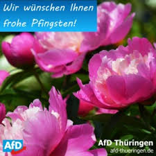 Schöne pfingsten bilder (2) wir hoffen ihr hattet schöne pfingsttage! Frohe Pfingsten Afd Thuringen