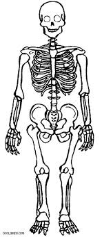 Maybe you would like to learn more about one of these? Printable Skeleton Coloring Pages For Kids
