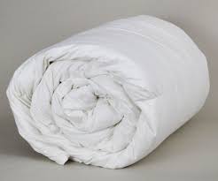 If you live in a part of the county that gets snow. Down Etc Aqua Plush Comforter Cotton Fabric Pillows Com