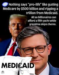 Liz Cheney/Adam Kinzinger Against Trump