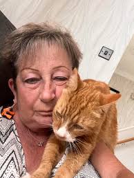 RETURNED!!! Just wanted to update- Diego has safely returned home after 17  days exploring! He needs feeding up and a check up at the vets but seems  okay! Thank you all for