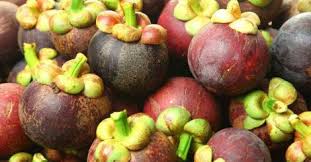 Check spelling or type a new query. 10 Fruit Bearing Trees For Your Home Garden Fruit Bearing Trees Trees