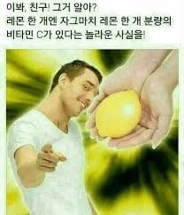 레몬의 효능 | 유머 게시판 | RULIWEB