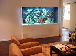 Fish Tanks Superb Japanese Modern Shop Interior Design Fish Tank Wall Aquarium Fish Tank Design