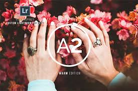 Follow the link below and add these vsco lightroom presets to your personal collection. 31 Vsco Lightroom Presets Free Premium Photoshop Downloads