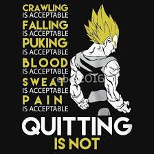 Never Quit Vegeta Dragon Ball Anime Dragon Ball Dragon Ball Z