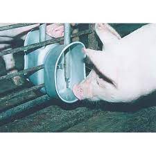 Hog Watering Systems Farmtek